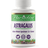 Astragalus
