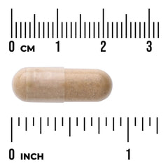 Multi-Glandular - Men's Health