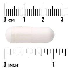 N-Acetyl D-Glucosamine