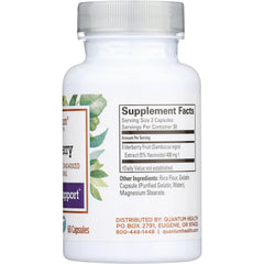 Elderberry