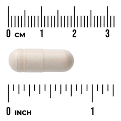 Boswellia Serrata Extract