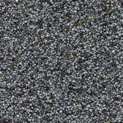 Organic Whole Poppy Seed