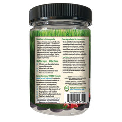 Stress-Defy Balanced Calm Focused Gummies - Mixed Berry