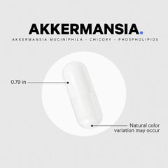Akkermansia Probiotic & Prebiotic