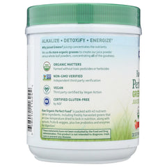 Raw Organic Perfect Food Green Superfood - Apple