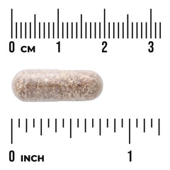 Black Yeast Beta Glucan - Featuring Polycan