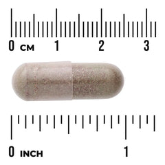 Beet Root Complex - Nitric Oxide Precursor Formula