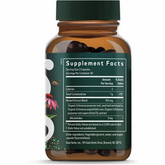 Echinacea Supreme