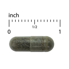 Andrographis EP80 Extra Strength