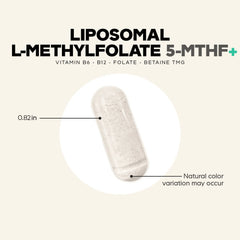 Liposomal L-Methylfolate 5-MTHF+