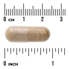 Full Spectrum Fennel Seed