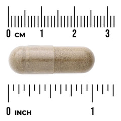 Full Spectrum Chanca Piedra