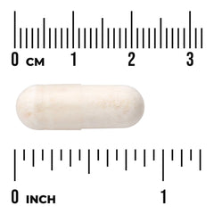 Ultra Probiotic Complex