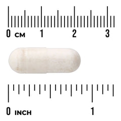 Probiotic with Digestive Enzymes