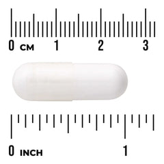 L-Carnosine