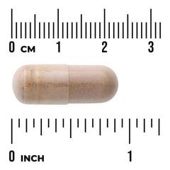 Triple Mushroom Complex - 3 Mushroom Formula