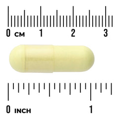 Ultimate Respiratory Defense with NAC and Quercetin