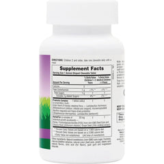 Animal Parade AcidophiKidz Children's Chewable Probiotic - Berry