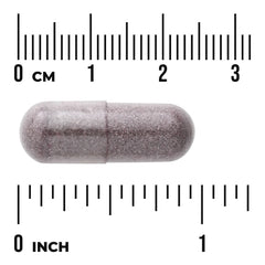 Bilberry - Extra Strength Standardized