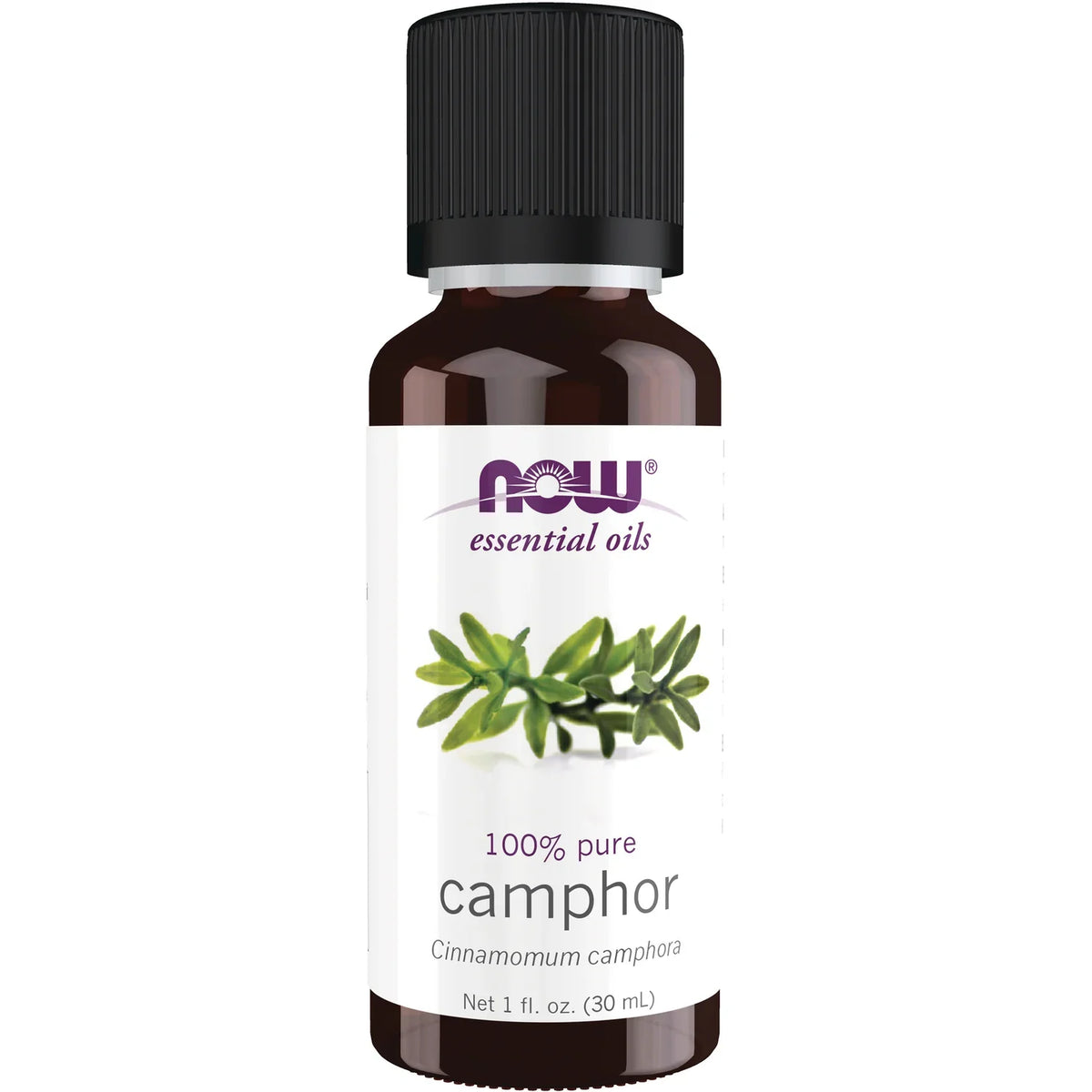 100% Pure Camphor