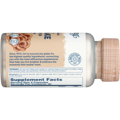 Mushrooms Organic Maitake Fermented