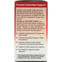 RAW CoQ10