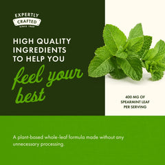 Full Spectrum Spearmint Leaf