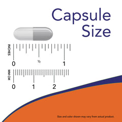 Women's Probiotic