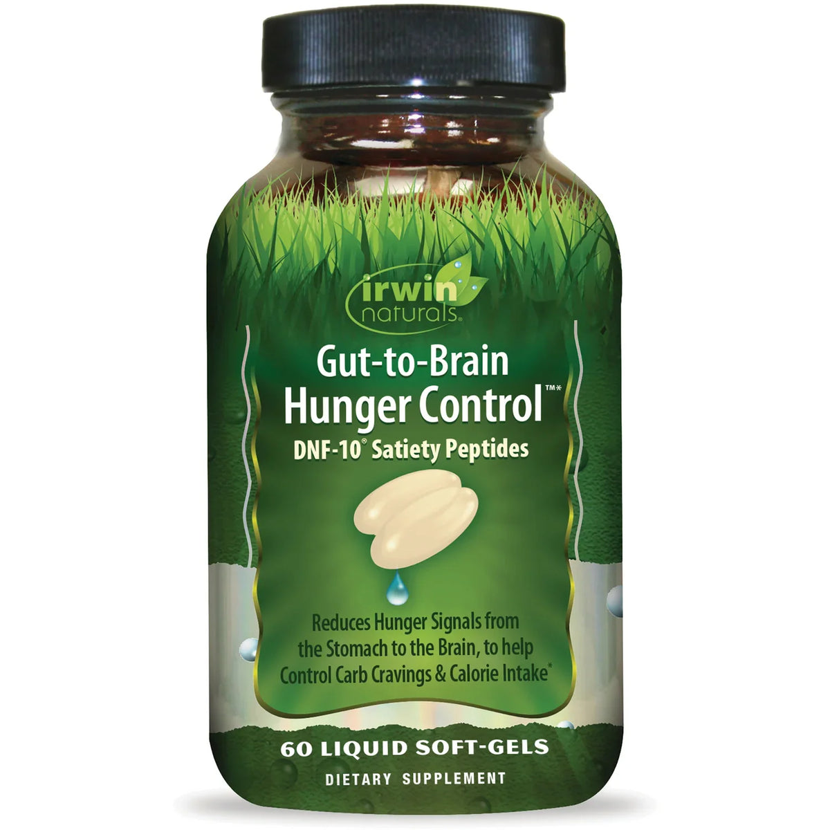 Gut-to-Brain Hunger Control
