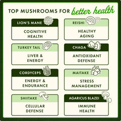 Agaricus Blazei Mushroom Extract