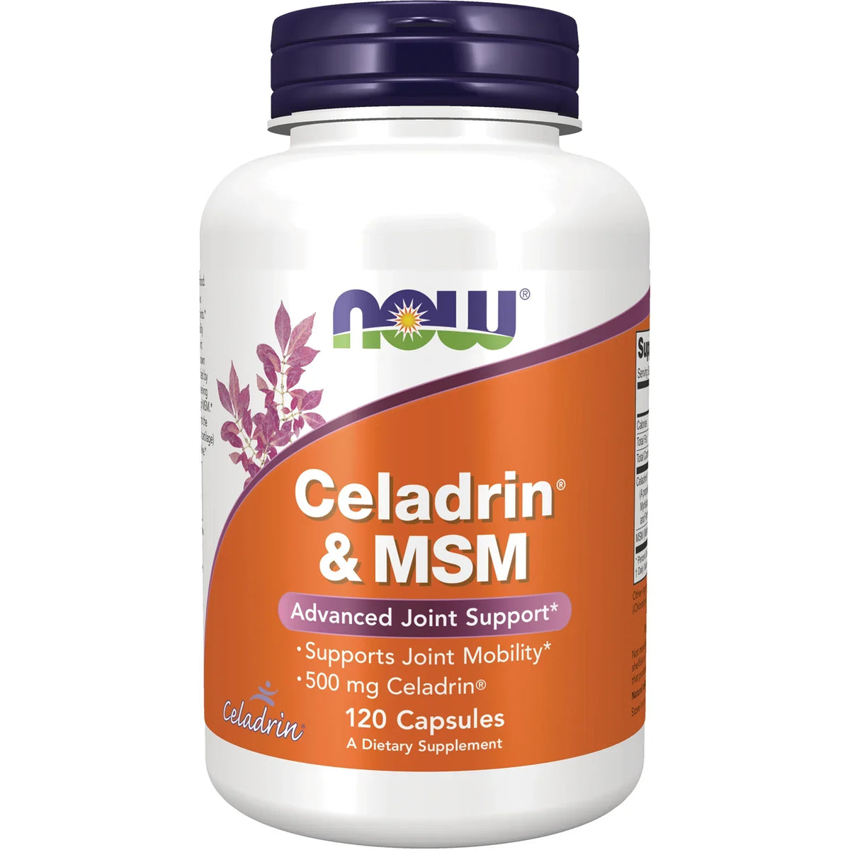 Celadrin & MSM