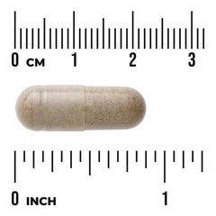 Echinacea - Standardized